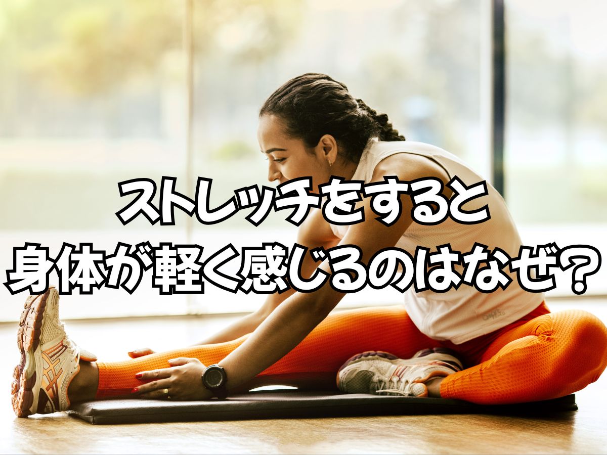 ストレッチをすると身体が軽く感じるのはなぜ？